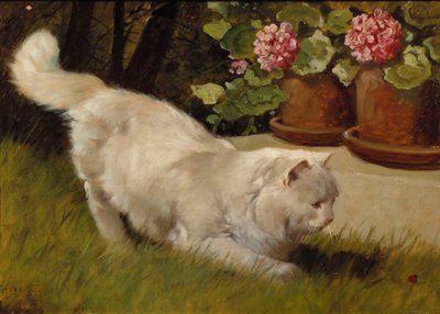 A White Persian Cat with a Ladybird by Arthur Heyer