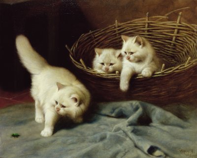 White Angora Kittens with a Beetle by Arthur Heyer