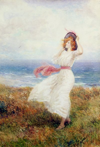 A Blow on the Cliffs by Arthur Hopkins