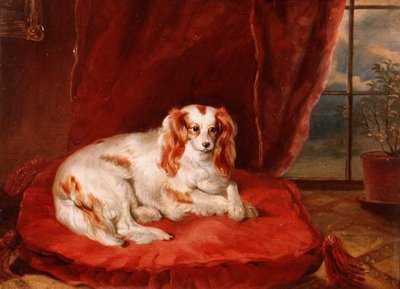 A Cavalier King Charles Spaniel Lying on a Red Cushion by Arthur J. Stark