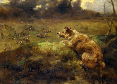 Rabbit Hunter by Arthur John Strutt