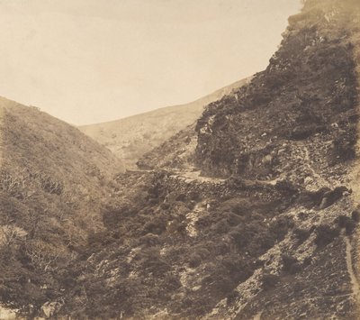 On the Road to Watersmeet, Near Lynton, North Devon by Arthur Julius Pollock