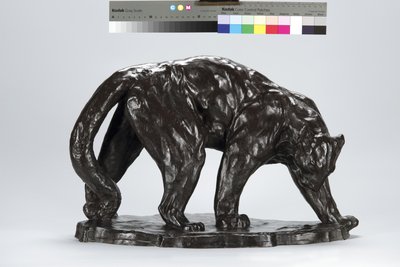 Large Puma Smelling Ox Track by Arthur Putnam