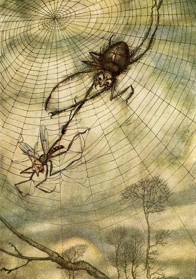 Aesop
