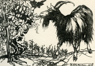 Aesop