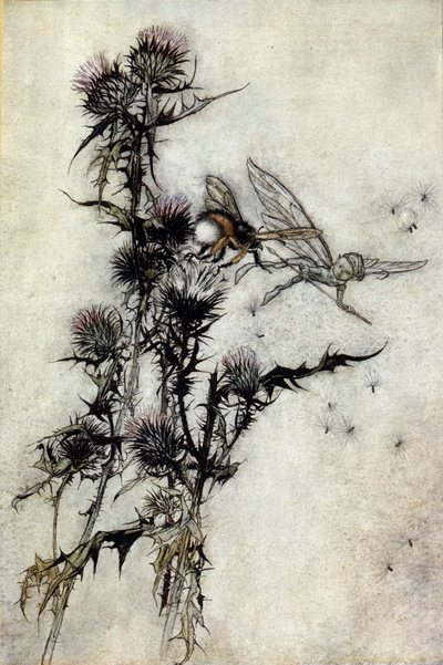 Illustration by Arthur Rackham for A Midsummer Night