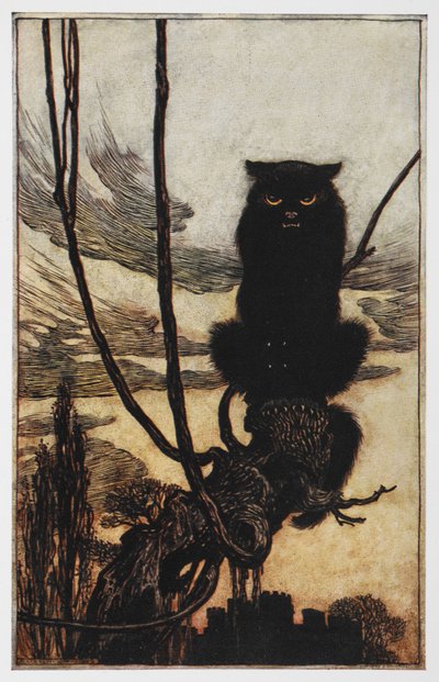 Illustration from Jorinda and Joringel of a black cat by Arthur Rackham