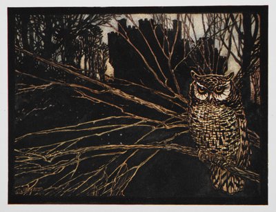 Illustration from Jorinda and Joringel of a screech owl by Arthur Rackham