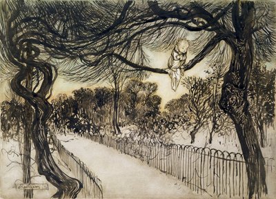 Peter Pan on a Branch, Scene from Peter Pan in Kensington Gardens by J.M Barrie, 1912 by Arthur Rackham