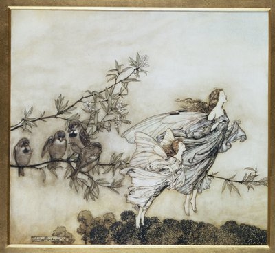 The Fairies have their Tiff with the Birds, 1906 illustration for Peter Pan in Kensington Gardens by J.M. Barrie, pub. 1906 by Arthur Rackham