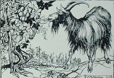 The Goat and the Vine, illustration from 