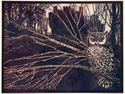 Or a screech owl by Arthur Rackham