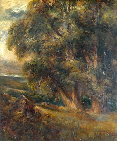 Tree Study by Arthur Reginald Smith