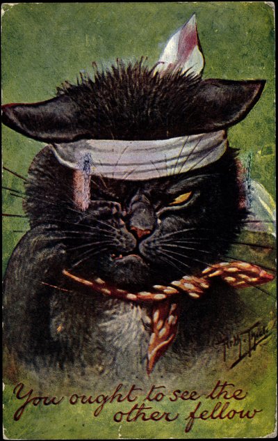 Cat, You ought to see the other fellow by Arthur Thiele