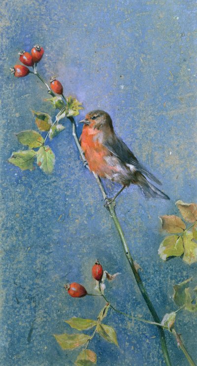 Robin on a Branch by Arthur Wardle