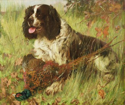 Springer Spaniel with Pheasant by Arthur Wardle