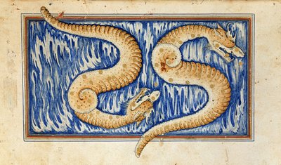 An illustrated page from 