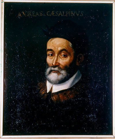 Portrait of Andrea Cesalpino by Artist Unknown