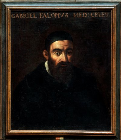 Portrait of Gabriele Falloppia or Falloppio by Artist Unknown