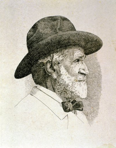 Portrait of Giuseppe Fortunino Francesco Verdi by Artist Unknown