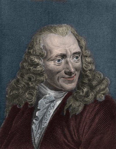 Portrait of Voltaire by Artist Unknown