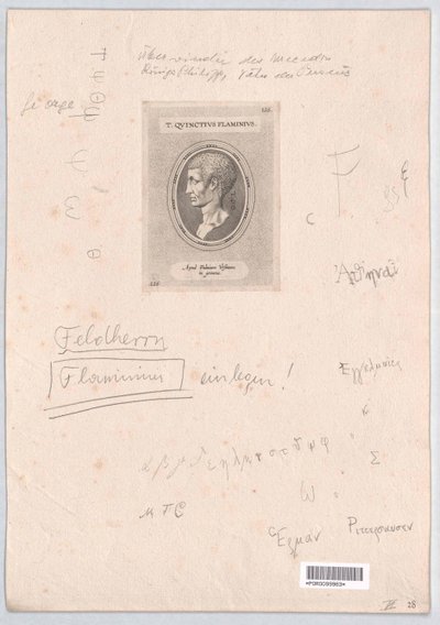 Titus Quinctius Flaminius by Artist Unknown