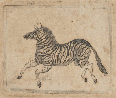 Banknote vignette showing a zebra by Asher Brown Durand.