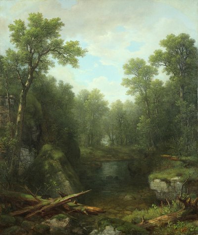 Chapel Pond Brook, Keene Flats, Adirondack Mountains, New York, 1871 by Asher Brown Durand