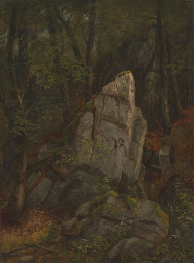 Study of Rocks in Pearson