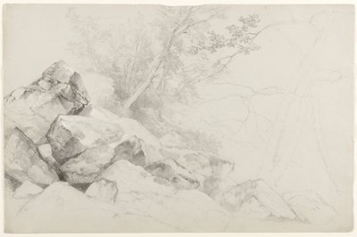 Study of Rocks with Trees, Hague, Lake George, New York by Asher Brown Durand