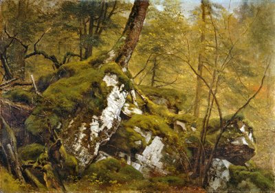 Study of a Wood Interior by Asher Brown Durand