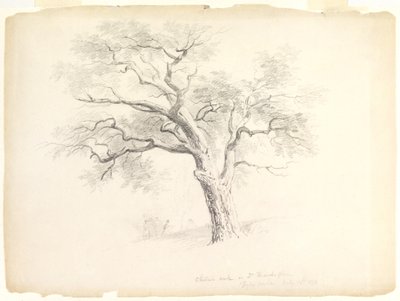 The Chestnut Oak on the Hosack Estate, Hyde Park, New York with Five Figures and an Artist Sketching, 1838 by Asher Brown Durand
