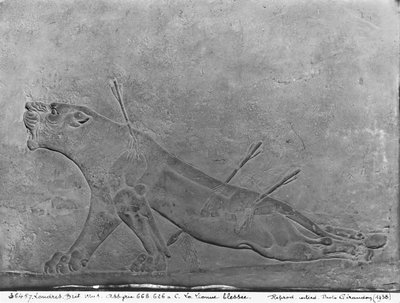 Wounded lioness, detail from a relief panel depicting Ashurbanipal II Killing Lions, from the Palace of Ashurbanipal II, Nimrud, Iraq, Neo-Assyrian, 668-627 BC by Assyrian