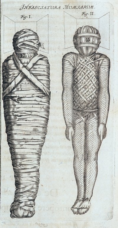 Mummies - in 