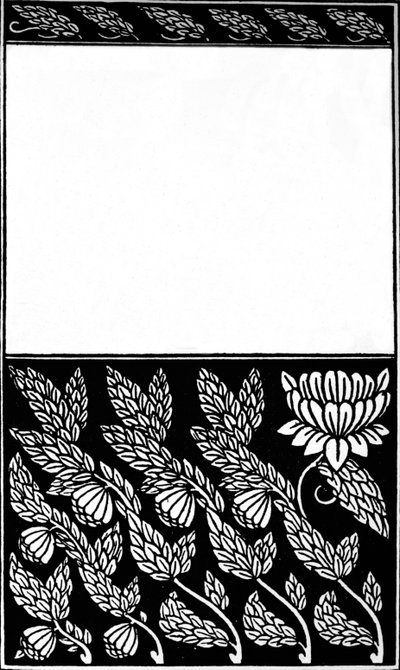 Design for Cover of Nobody