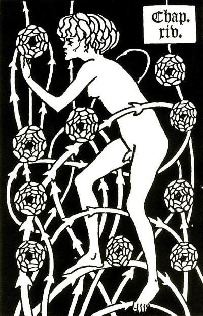 Hermaphrodite Amongst the Roses from Le Morte d