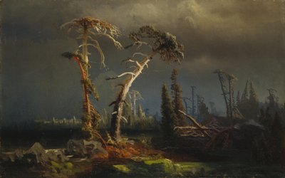 Gathering Storm - Dying Primeval Forest in Storm by August Cappelen