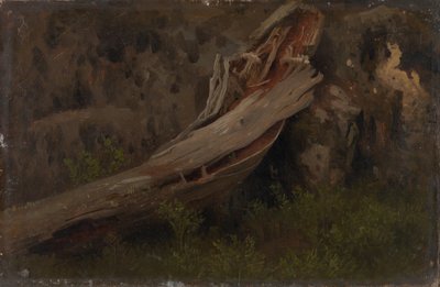Study of a Decaying Trunk by August Cappelen