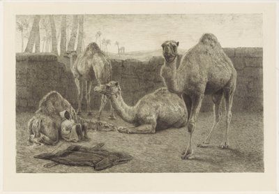 Camels by August Le Gras