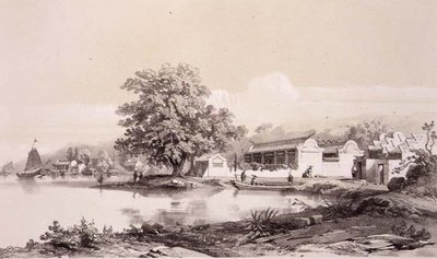 Mandarin