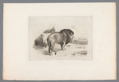 Lion (French Etchings from 1874) by Auguste Andre Lancon