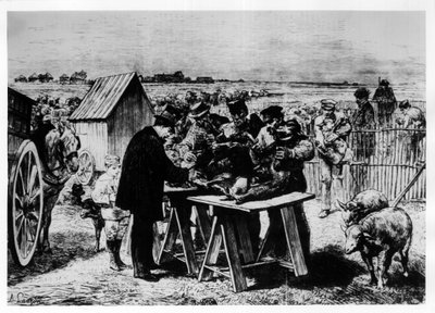 Vaccination of Sheep by Pasteur, engraving by A. Lançon by Auguste Andre Lancon