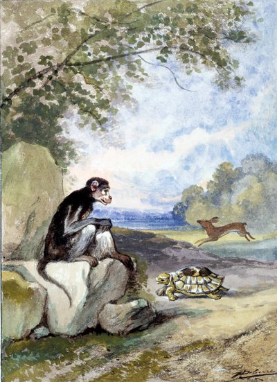 Illustration of the Fable 