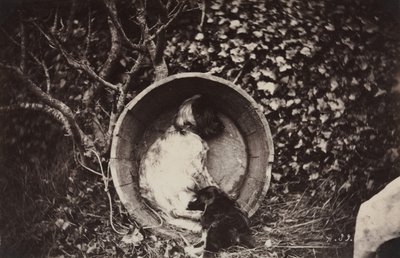 Dog and Puppy in Barrel by Auguste Giraudon