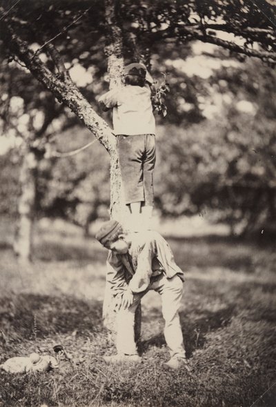 Two Boys Climbing a Tree by Auguste Giraudon