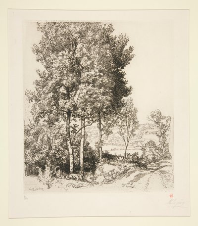 Small Morin Valley near Verdelot (Seine-et-Marne) by Auguste Lepere