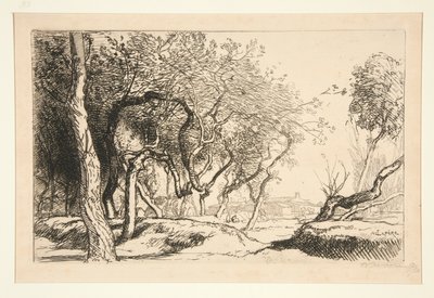 Twisted Trees (Saint-Jean-de-Monts) by Auguste Lepere