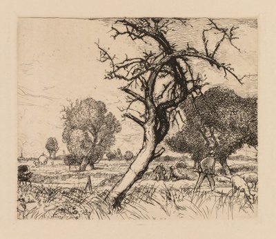Auguste Lepère: The Dead Apple Tree (Picardie) by Auguste Louis Lepère