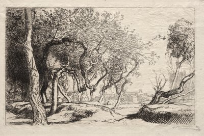 The Twisted Tree by Auguste Louis Lepère