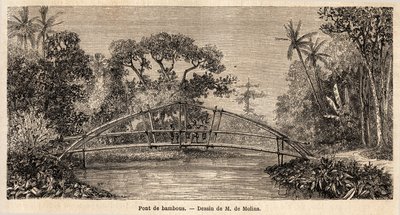 A bamboo bridge, in the jungle, near Salak Mountain by Auguste de Molins
